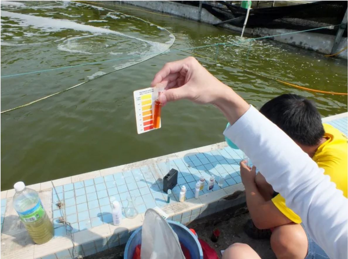 Kiểm tra sức khỏe tôm và chất lượng nước